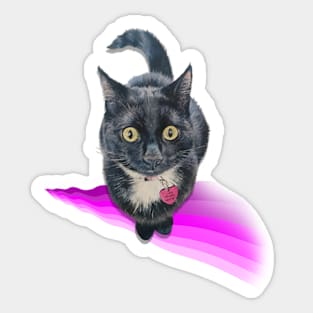 Beautiful painting of a classic kitty Sticker